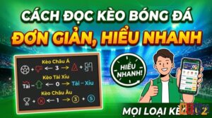 Cách đọc kèo bóng đá chuẩn xác cho người mới bắt đầu